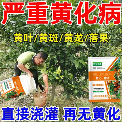 柑橘黄化修复剂桔子树脐橙果树营养液防治卷叶红鼻子黄龙病专用肥
