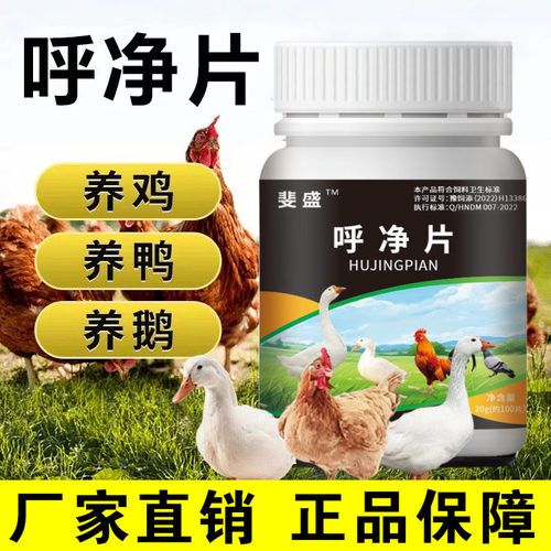 鸡鸭鹅鸽鹌鹑开口呼净片