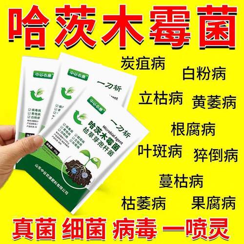 正品一刀斩哈茨木霉菌微生