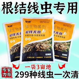 农用根结线虫专用剂淡紫紫孢菌根结根瘤除菌根线灵地下根通用菌剂