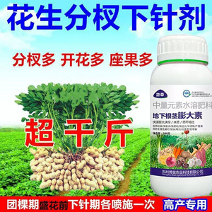 花生控旺增产叶面肥三遍肥