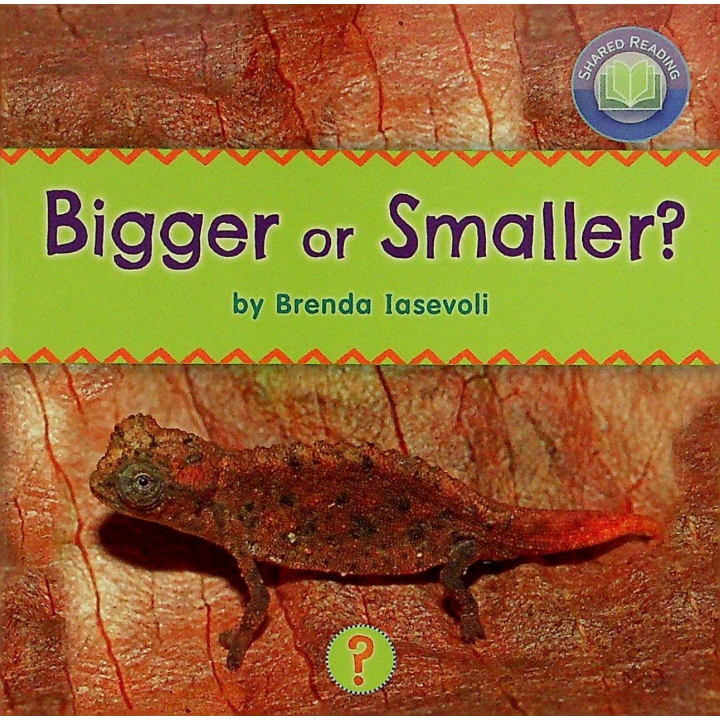 英文原版图书趣味科普绘本