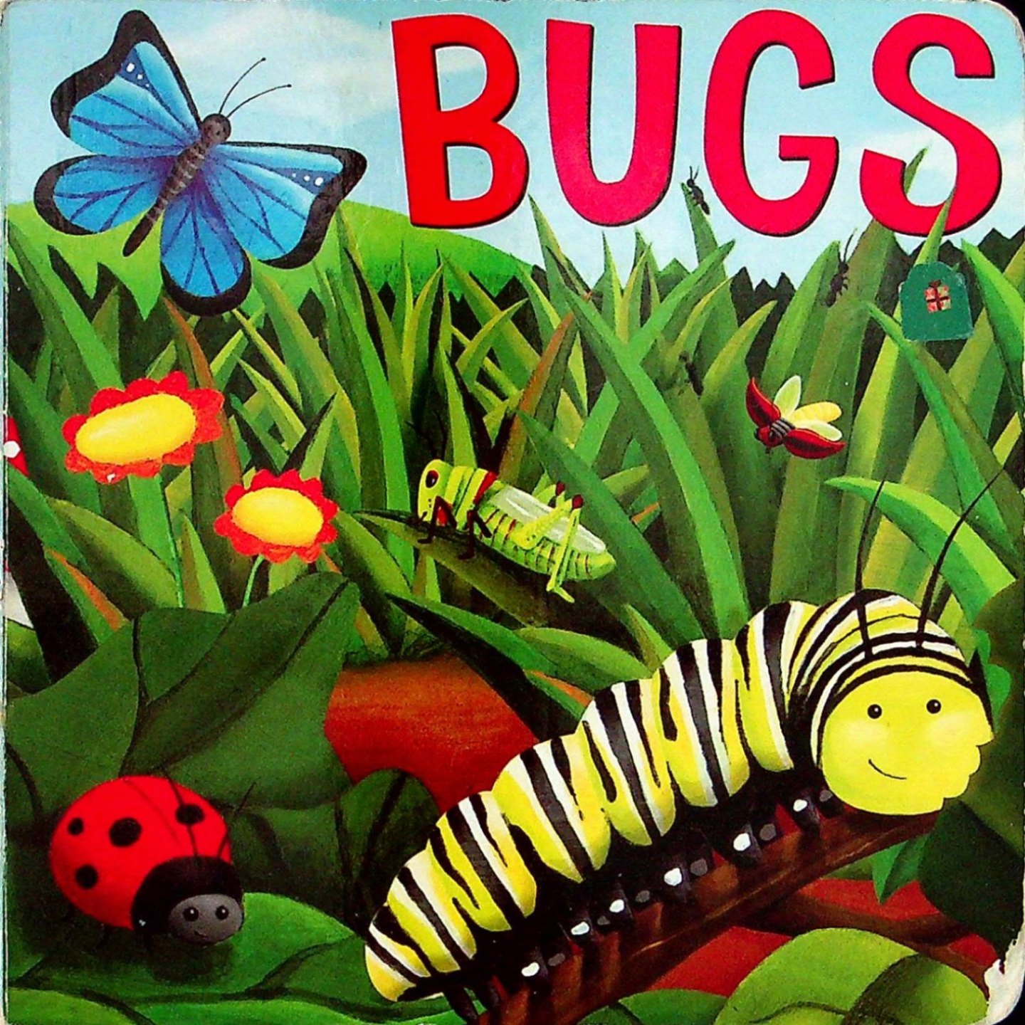 英语原版引进虫子绘本BUGS儿童科普读物36岁适读彩色插图认识蝴蝶毛毛虫蚱蜢等昆虫习性培养自然科学兴趣亲子共读早教启蒙