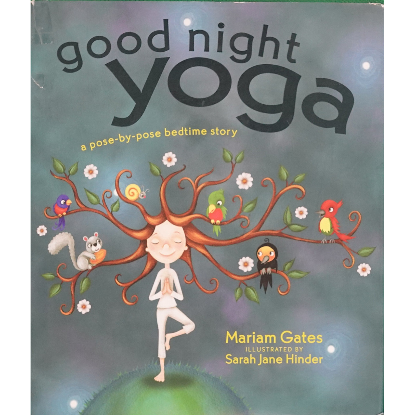 晚安瑜伽原版书英语绘本亲子共读GoodNightYoga玛丽安盖茨著儿童睡前故事正念练习放松身心彩色插画36岁适读