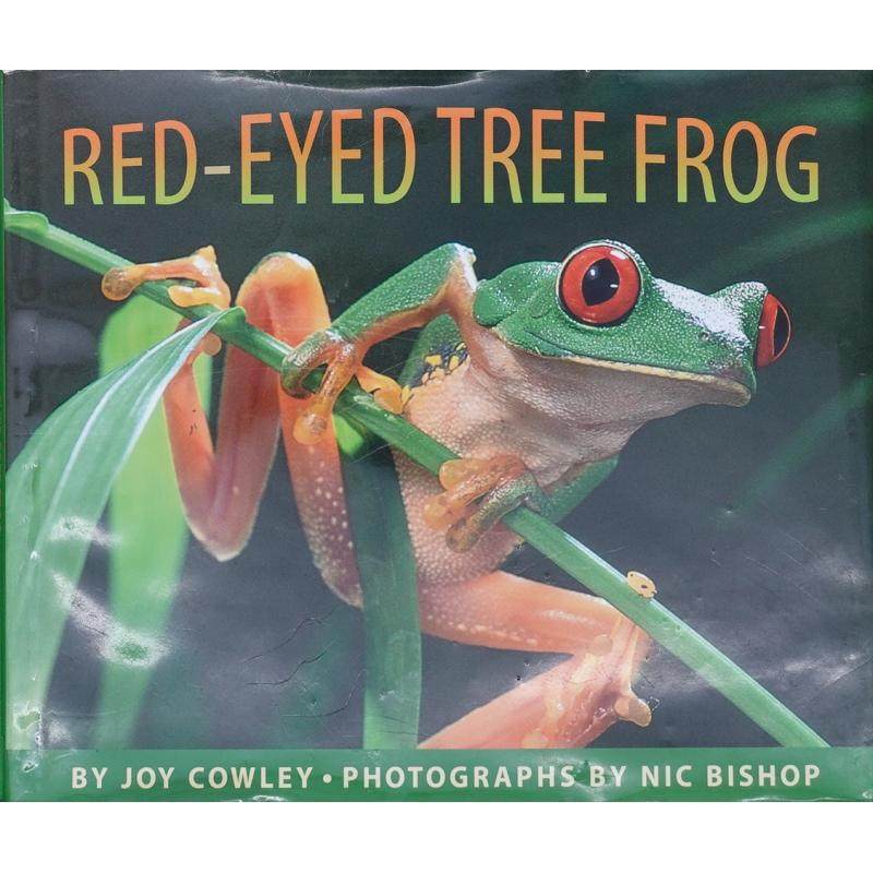 red-eyed tree frog by joy cowley精装scholastic红眼睛的树蛙