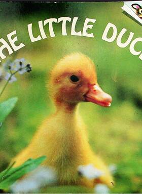 英语原版书TheLittleDuck小鸭子绘本朱迪邓恩著菲比邓恩插画亲子共读动物成长生命科学36岁适读
