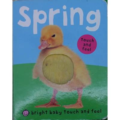 Bright Baby Touch and Feel Spring by Roger Priddy木板书Priddy Books明亮的婴儿触摸和感受春天