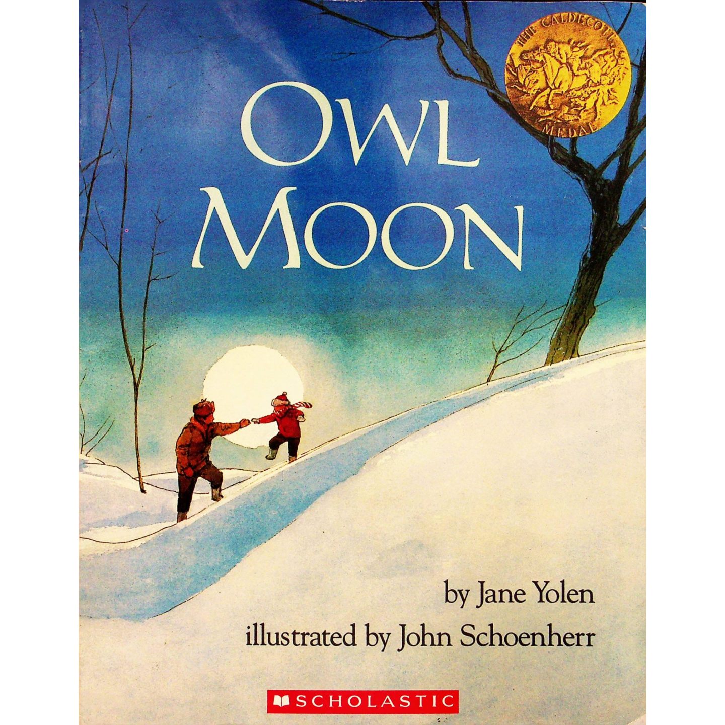 英文原版图书凯奖猫头鹰绘本