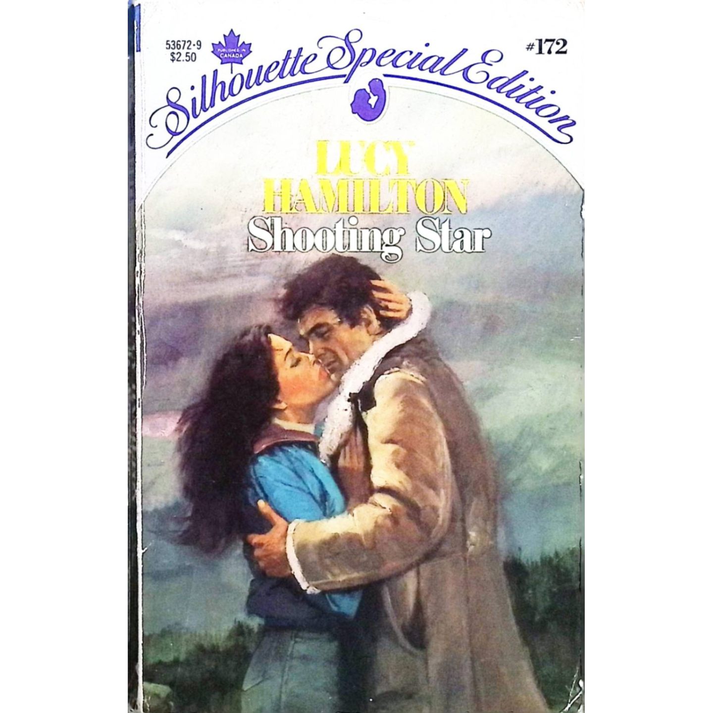 英文原版图书浪漫爱情小说流星