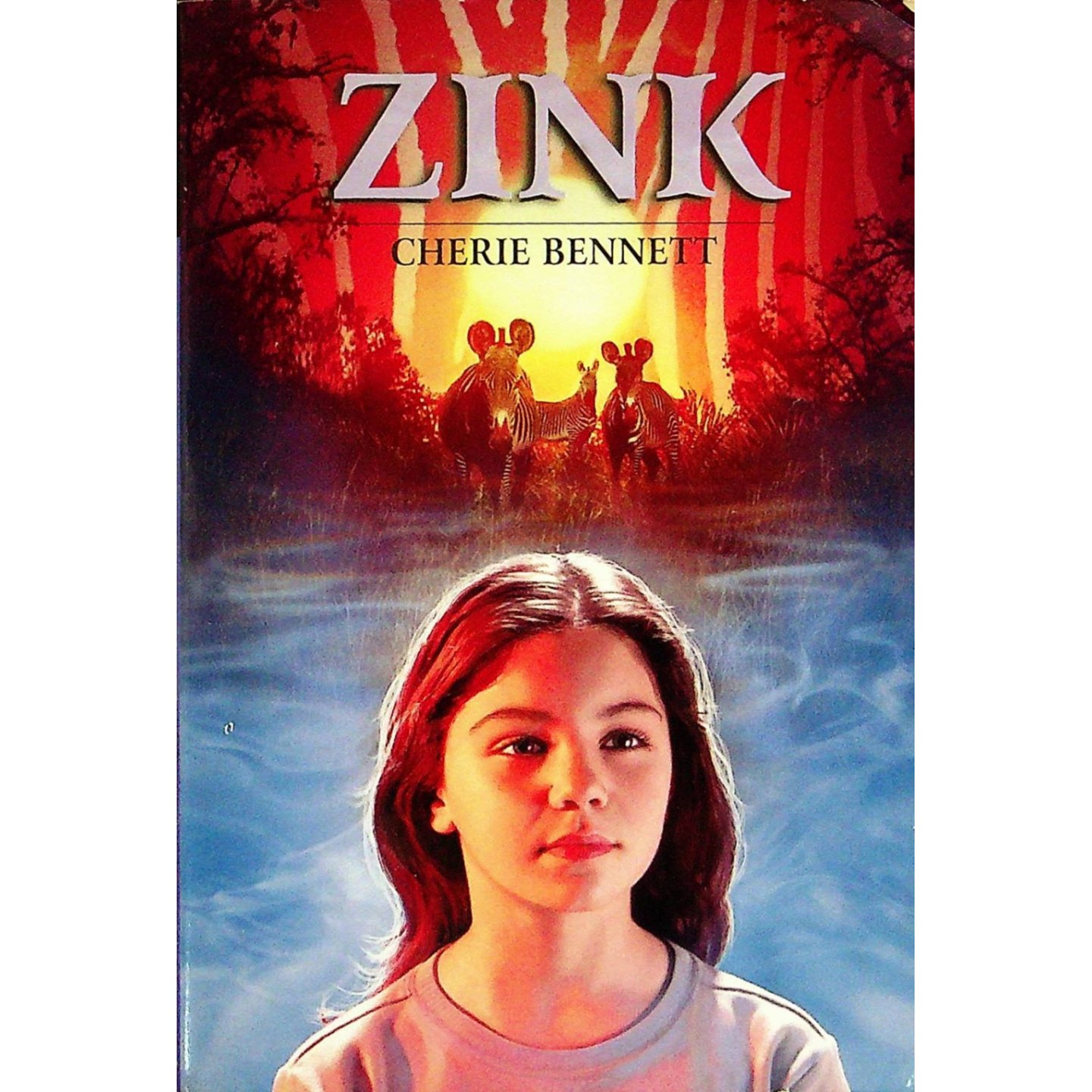 英语原版书辛克青少年小说Zink雪莉贝内特著讲述贝琪与斑马辛克的奇幻冒险故事探讨勇气友谊与面对疾病适合1114岁青少年阅读激发