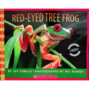 学乐书架系列红眼树蛙原版英语科普绘本国际知名童书作家乔伊考利与摄影师尼克毕肖普联袂创作荣获优秀科学贸易图书和教师选择金