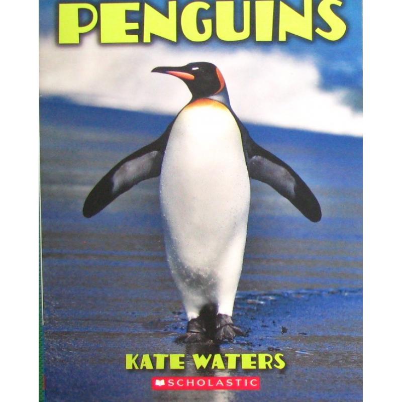 Penguins Growing Reader Level 3 by Kate Waters平装Scholastic企鹅 (不断增加读者 3 级) 书籍/杂志/报纸 儿童读物原版书 原图主图