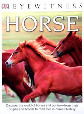 DK目击者原版书Horse英语动物百科710岁适读美国图书馆协会优秀童书奖得主英国动物学家朱丽叶克拉顿布罗克权威著作高清实拍图