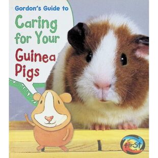 英语原版书哥顿教你养豚鼠PetsGuides绘本儿童宠物饲养指南艾瑞尔伯克曼创作适合710岁孩子学习豚鼠习性饮食健康知识