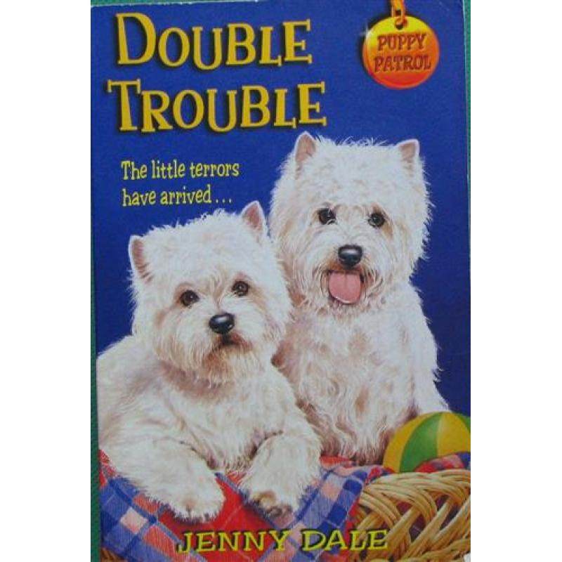 double trouble by jenny dale平装macmillan双重麻烦