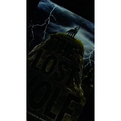 英文原版图书迷失的狼冒险故事