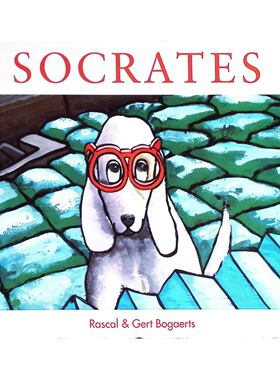 英语原版书苏格拉底Artic系列彩色绘本书讲述孤儿狗寻找家的温馨故事适合36岁儿童亲子共读培养友谊同情心接纳帮助他人