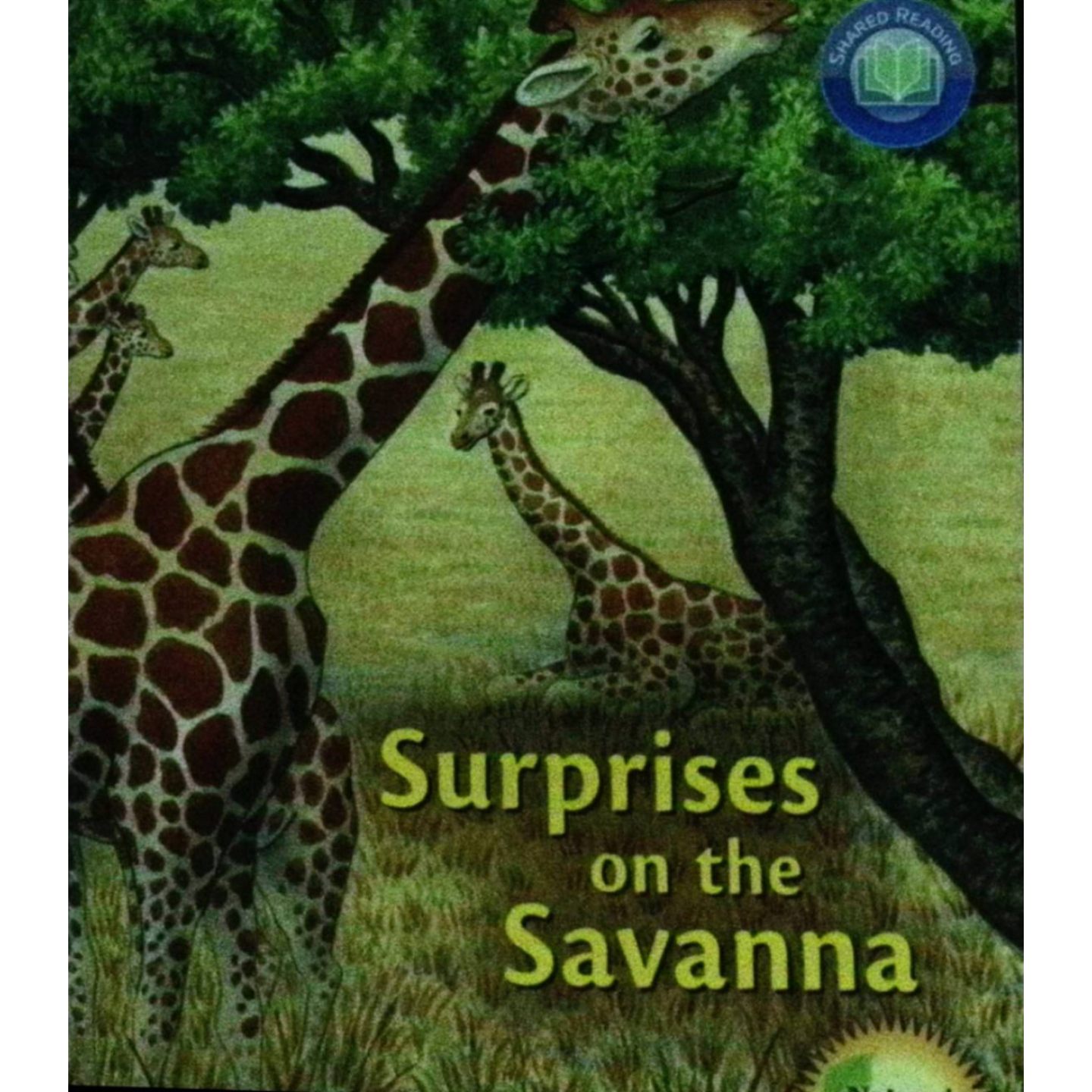 英文原版图书稀树草原绘本