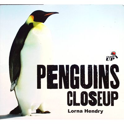 英文原版图书企鹅科普绘本