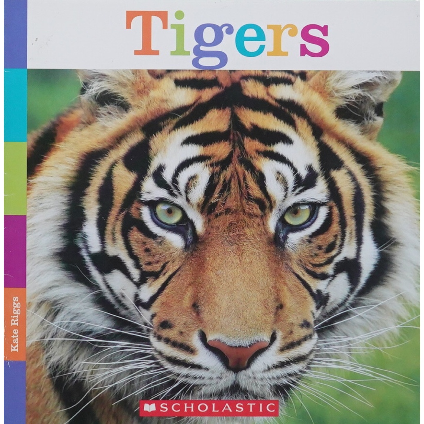 英文原版图书老虎绘本英语启蒙