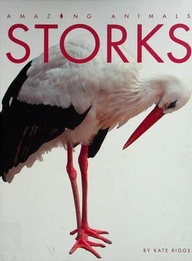 英语原版书神奇的动物系列Storks鹳绘本适合710岁儿童阅读的动物科普读物图文并茂介绍鹳的特征习性栖息地等知识