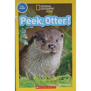 平装 Shira Evans Scholastic偷看 Peek 水獭 Otter