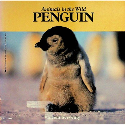 英文原版图书企鹅英语绘本