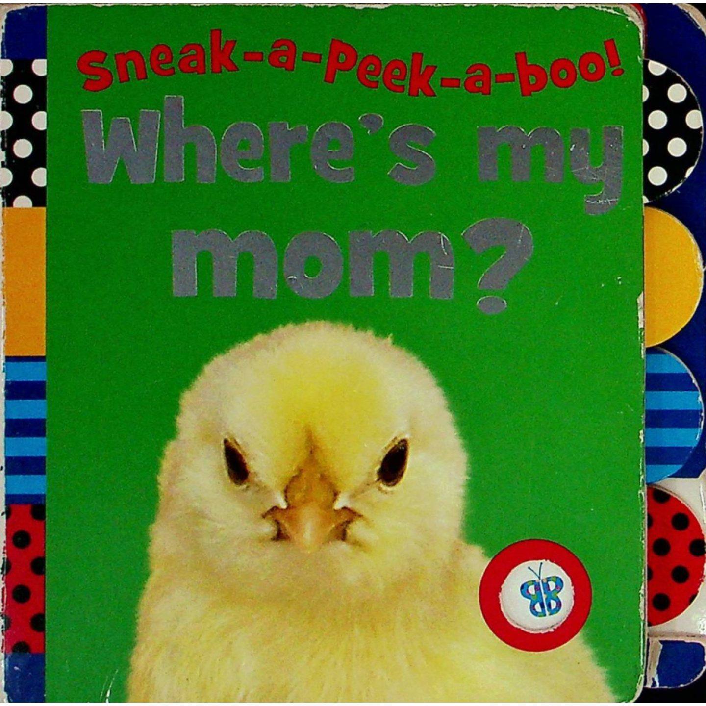 英文原版图书躲猫猫翻翻书