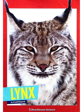 野猫系列原版书猞猁WildCats英语科普绘本小学生自然科学读物彩色插图野生动物知识710岁适读RiverStream出版社出版