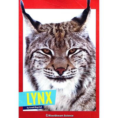 英文原版图书猞猁科普绘本