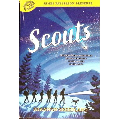 英文原版图书童子军冒险故事