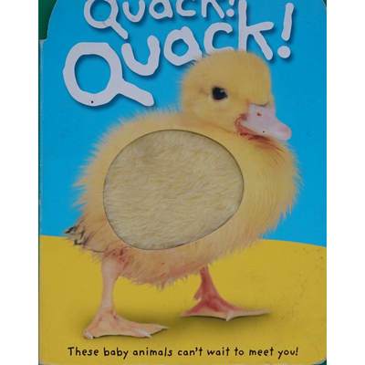 Baby Touch and  Feel Quack! Quack! by Roger Priddy木板书Priddy Books宝宝的触摸书