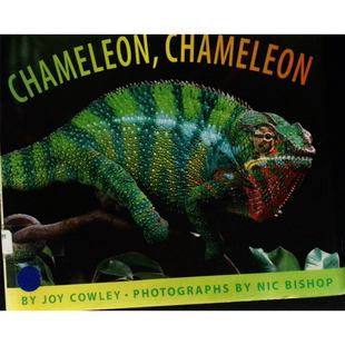 学乐分级阅读第1级原版书变色龙Chameleon英语绘本乔伊考利作品尼克毕肖普摄影适合36岁幼儿的科普读物通过精美照片和简单文字介