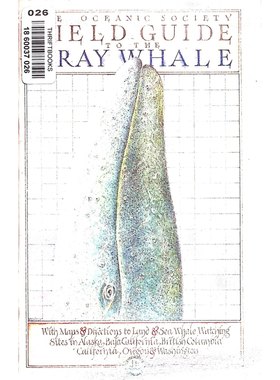 灰鲸野外指南原版书英语绘本科普海洋生物观鲸攻略FIELDGUIDE杜格尔德斯特默插画适合710岁儿童了解灰鲸迁徙规律和海洋保护知识