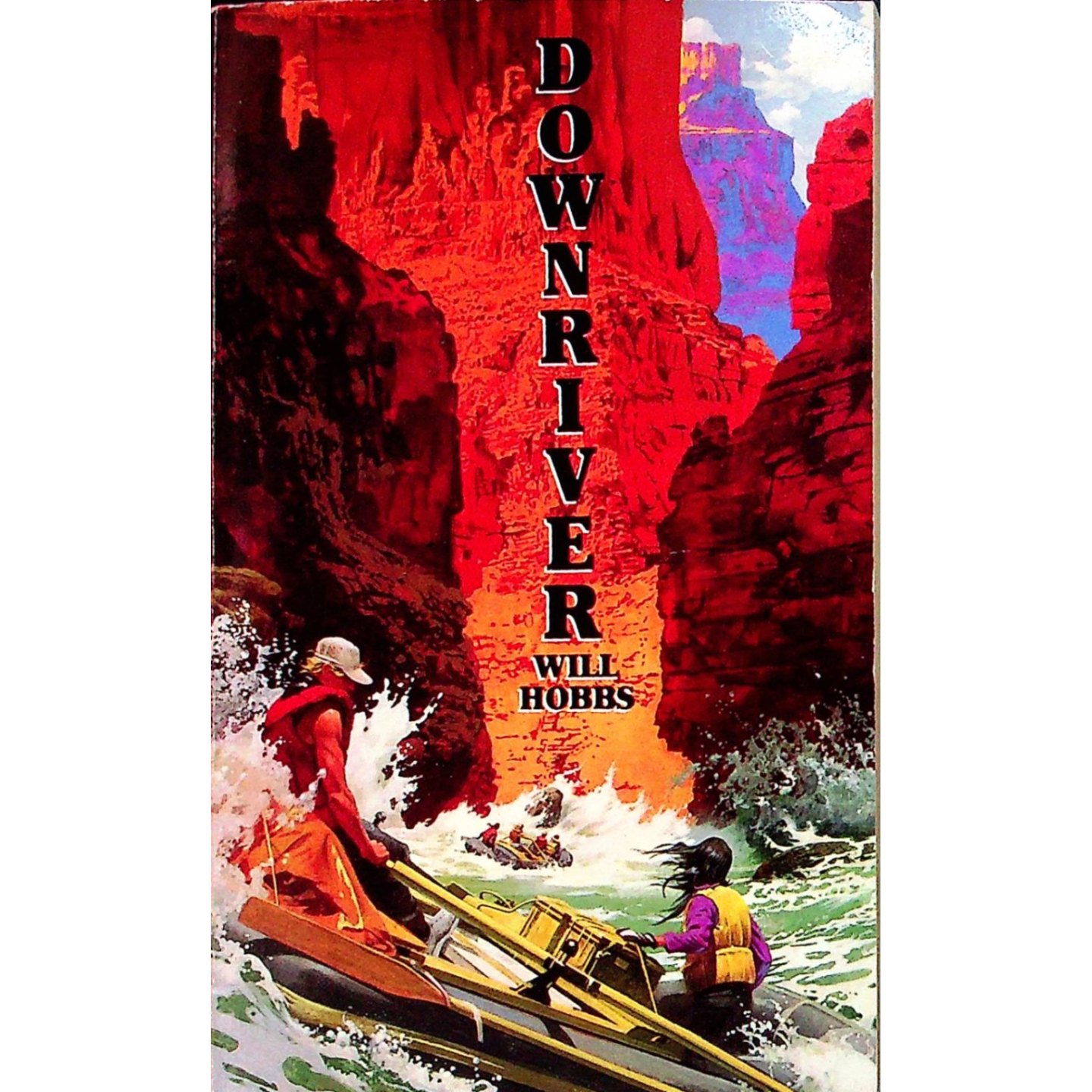 英语原版书下游漂流桃花心木叶图书馆系列青少年冒险小说DOWNRIVER威尔霍布斯著讲述青少年科罗拉多大峡谷漂流探险故事适合1114