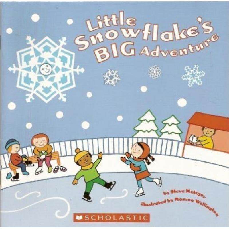 little snowflakes big adventure by steve metzger平装scholastic小