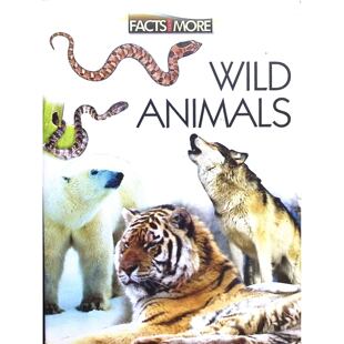英语原版书FactsandMore野生动物绘本适合710岁儿童阅读的科普书籍通过生动的图片和简洁文字介绍狮子老虎等野生动物特征习性帮