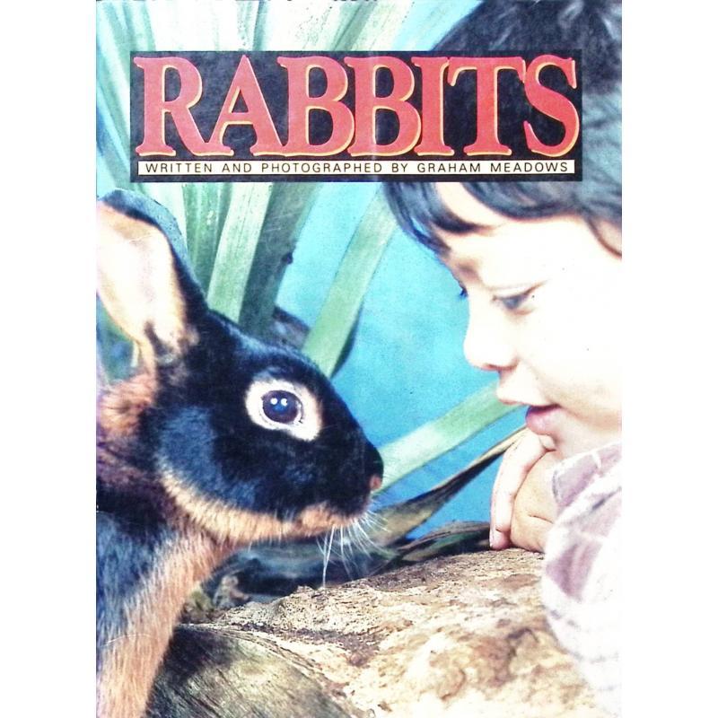 Rabbits by Graham Meadows平装Rigby兔子