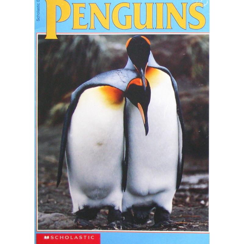 Penguins- A Smart Start Reader by Stacy Savran平装Scholastic企鹅-智能开始读取器