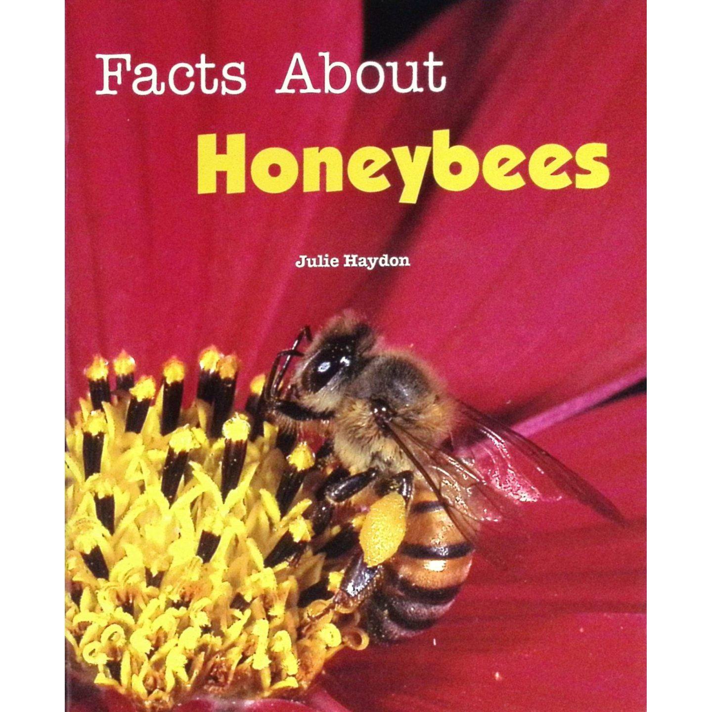 英语原版书瑞格比飞翔的色彩系列FactsAboutHoneybees蜜蜂知识科普绘本适合710岁儿童亲子共读自然科学动物主题彩色插图非虚构类