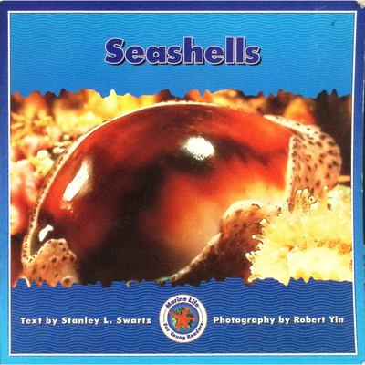 英文原版图书海洋贝壳科普绘本