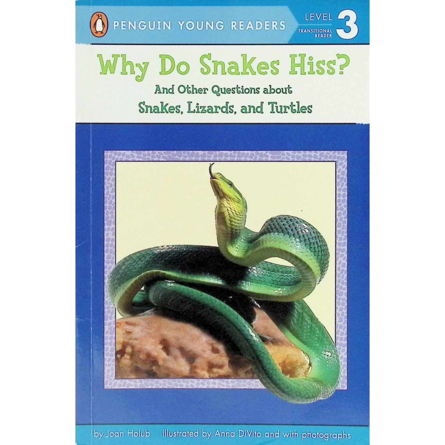 英文原版图书爬行动物科普绘本