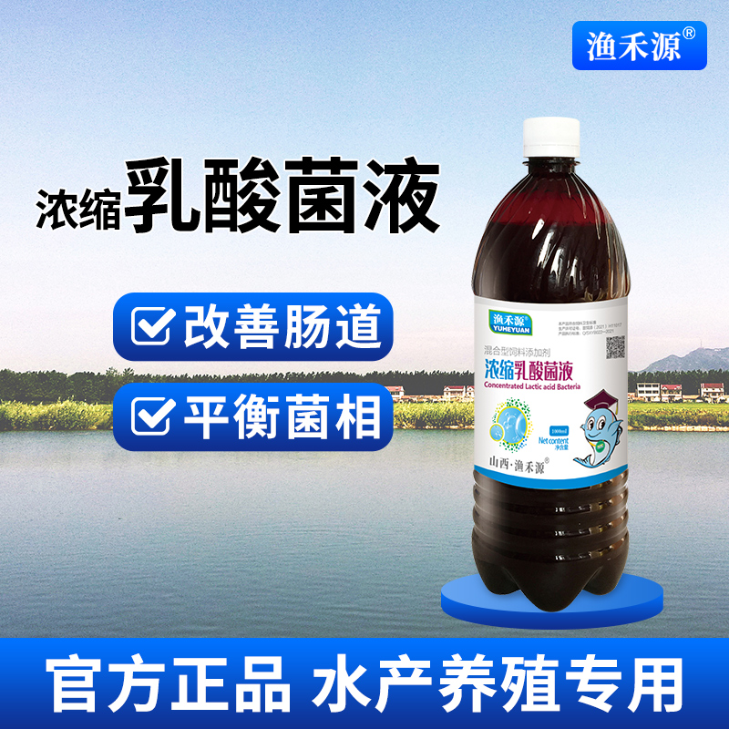 乳酸菌浓缩液水产养殖专用鱼塘虾蟹塘调水净水益生菌改善肠道