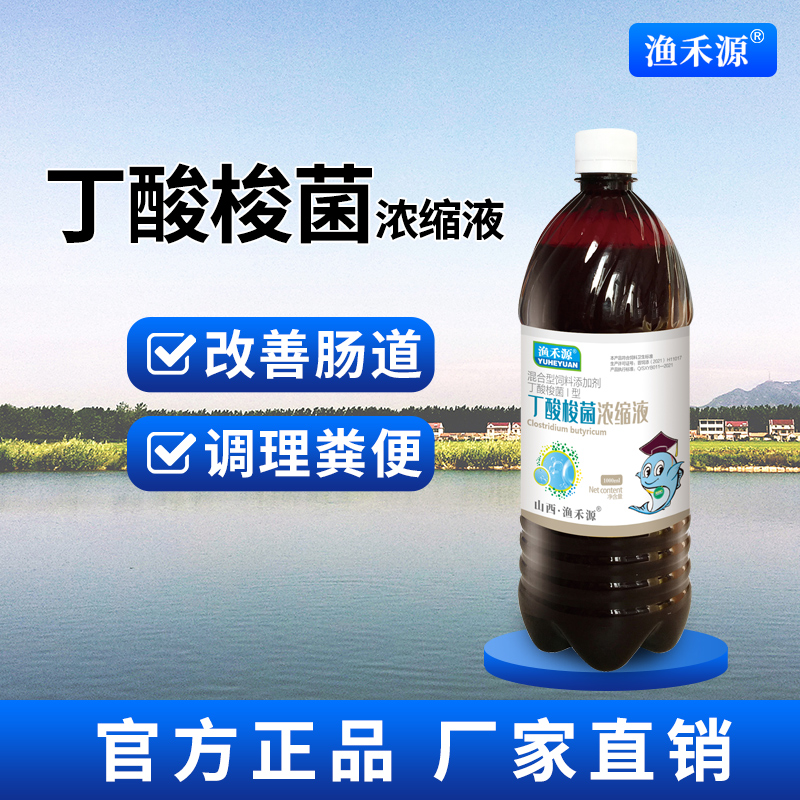 丁酸梭菌浓缩液对虾肝胆综合水产养殖小龙虾改善肠道白便调水菌种