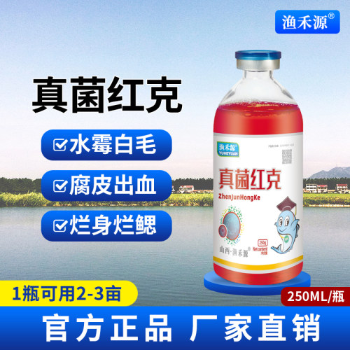 真菌红克水霉白毛腐皮出血烂鳃烂身鱼塘水产养殖水库渔药