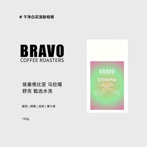 Bravo乌拉嘎舒克手冲咖啡豆100g