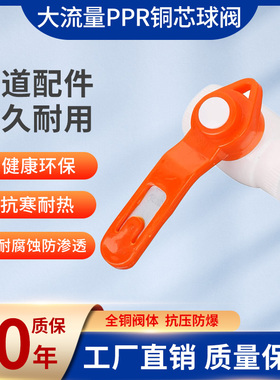 PPR球阀大流量铜芯20 25 32 40 50 63 75钢芯阀门全塑ppr水管开关