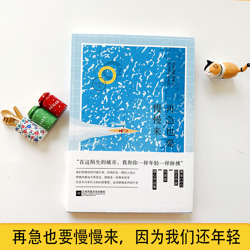 正版现货 再急也要慢慢来 青年创客励志作家刘美辰暖心减压作品集浮躁