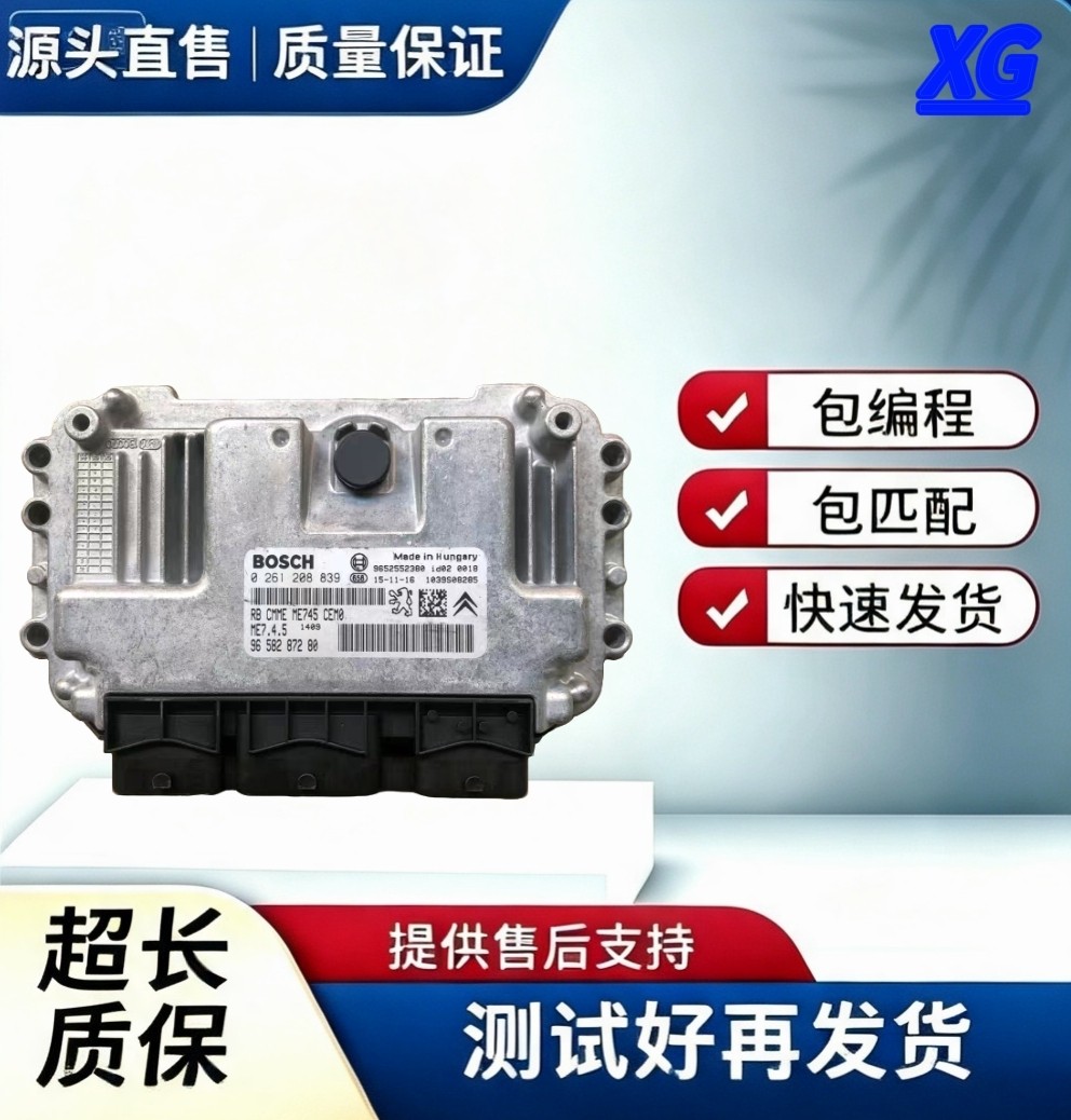 标致206 307 308 雪波箱电脑