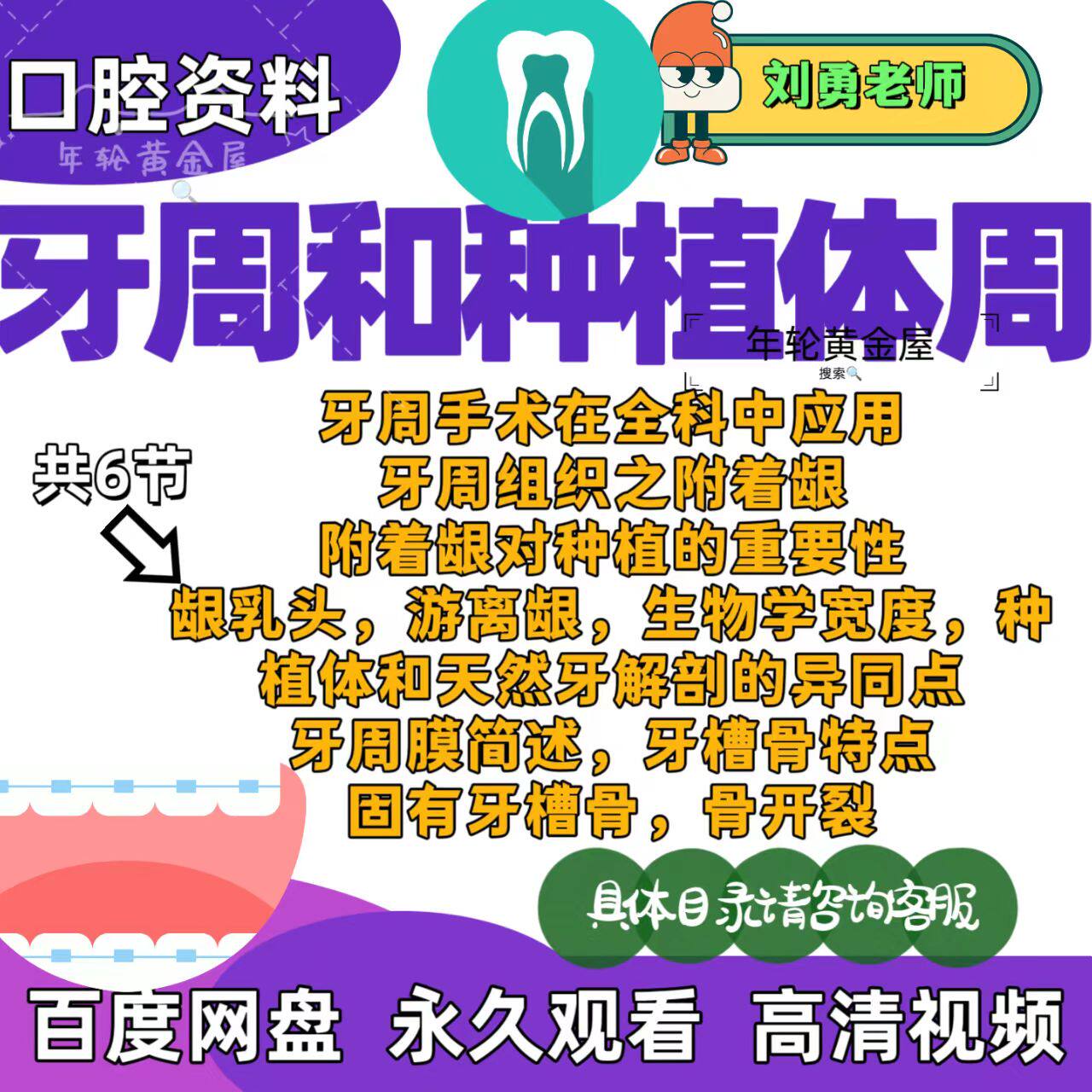 口腔牙周和种植体周课牙周手术牙周组织附着龈天然牙牙周膜牙槽骨